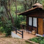 Mazamitla un pueblo mágico ideal para atender los caprichos aventureros